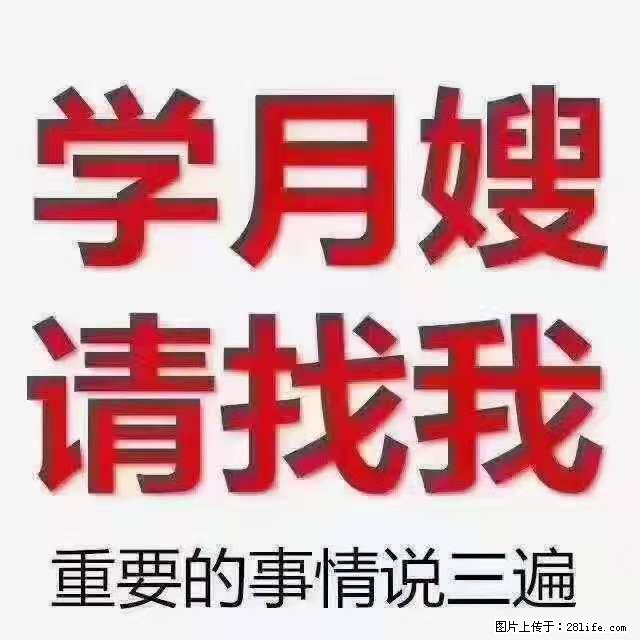 为什么要学习月嫂，育婴师？ - 其他广告 - 广告专区 - 兴安盟分类信息 - 兴安盟28生活网 xam.28life.net
