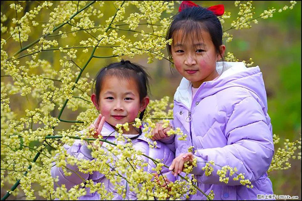 【春天，广西桂林灌阳县向您发出邀请！】米珠山前有片山苍子花在飘香 - 游山玩水 - 兴安盟生活社区 - 兴安盟28生活网 xam.28life.net