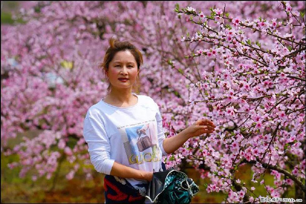 【春天，广西桂林灌阳县向您发出邀请！】官庄村有个醉美的桃花园 - 游山玩水 - 兴安盟生活社区 - 兴安盟28生活网 xam.28life.net