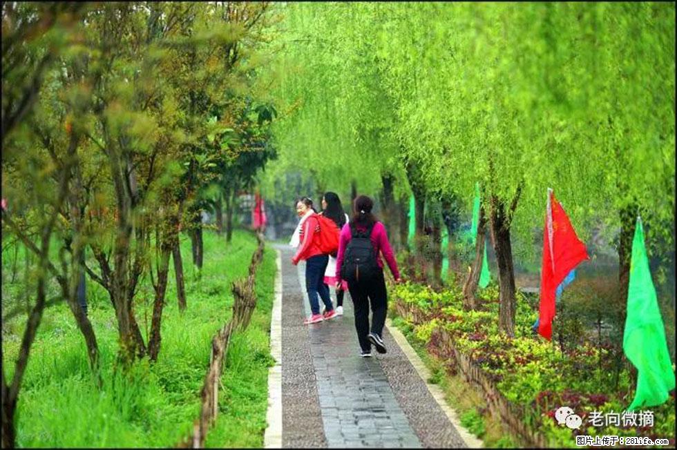 【春天，广西桂林灌阳县向您发出邀请！】江口老街又逢春 - 游山玩水 - 兴安盟生活社区 - 兴安盟28生活网 xam.28life.net