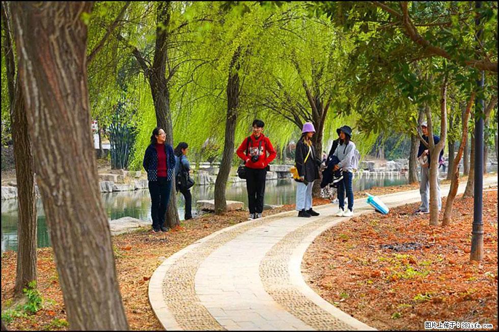 【春天，广西桂林灌阳县向您发出邀请！】江口老街又逢春 - 游山玩水 - 兴安盟生活社区 - 兴安盟28生活网 xam.28life.net