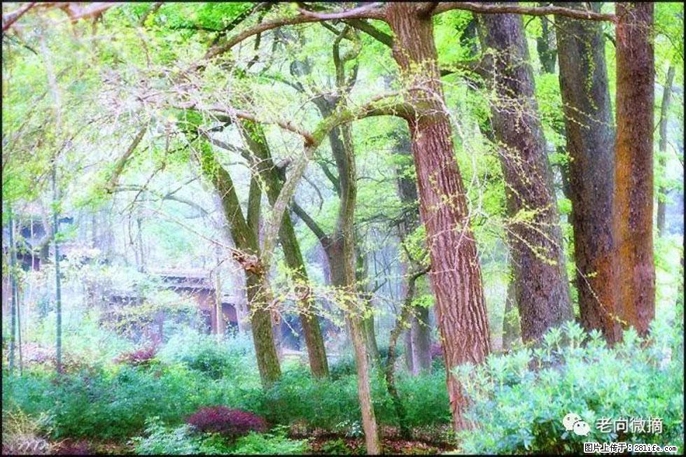 【春天，广西桂林灌阳县向您发出邀请！】在小龙村与春天约会 - 游山玩水 - 兴安盟生活社区 - 兴安盟28生活网 xam.28life.net