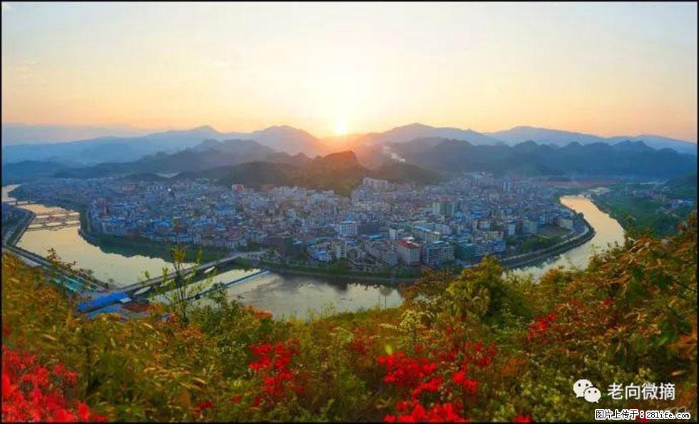 【春天，广西桂林灌阳县向您发出邀请！】登麒麟山，相约映山红 - 游山玩水 - 兴安盟生活社区 - 兴安盟28生活网 xam.28life.net