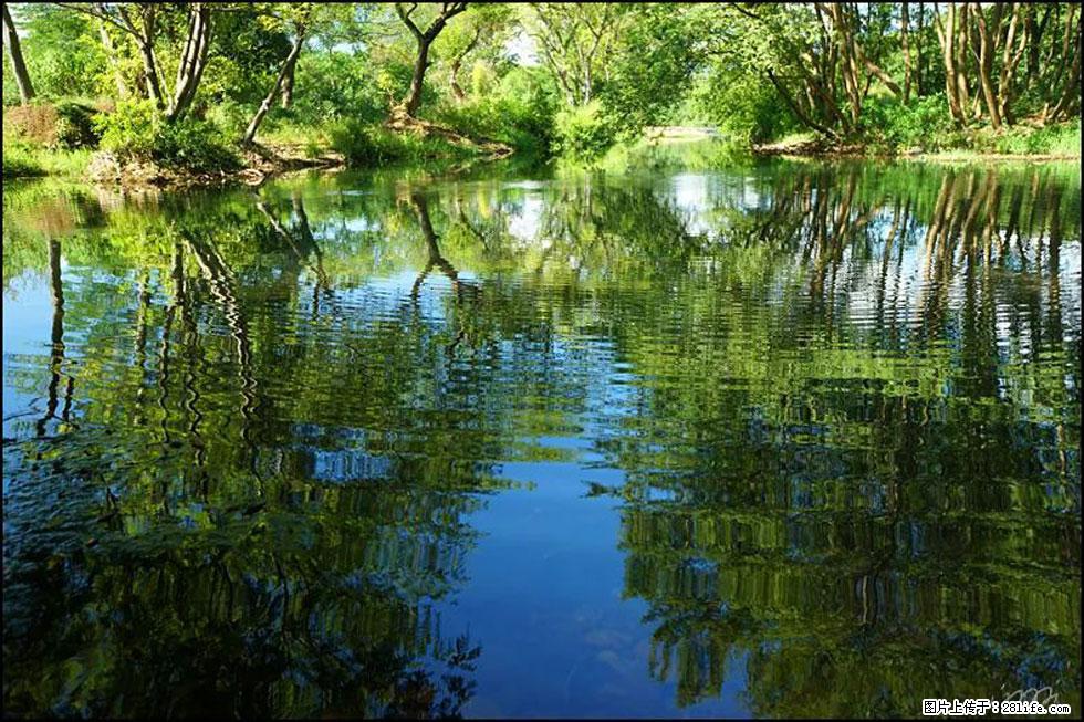 【春天，广西桂林灌阳县向您发出邀请！】熊家寨湿地公园 - 游山玩水 - 兴安盟生活社区 - 兴安盟28生活网 xam.28life.net