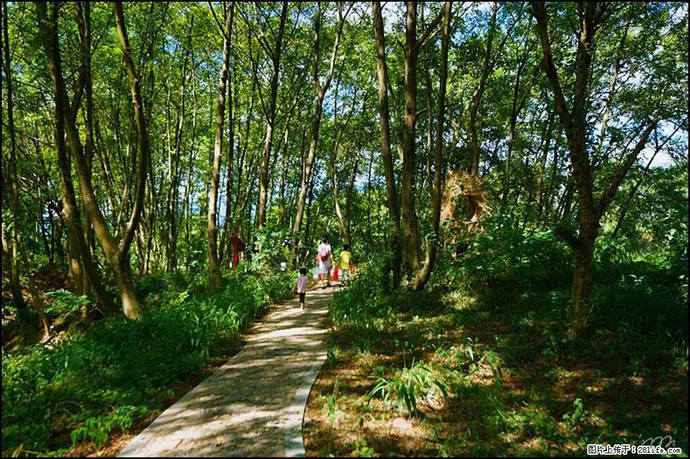 【春天，广西桂林灌阳县向您发出邀请！】熊家寨湿地公园 - 游山玩水 - 兴安盟生活社区 - 兴安盟28生活网 xam.28life.net