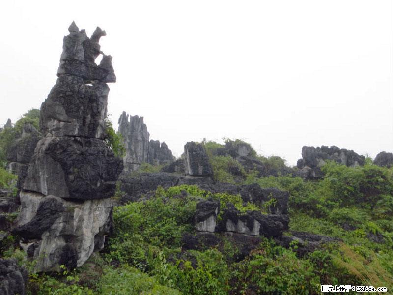 桂林旅游名城景点：灌阳文市石林 - 游山玩水 - 兴安盟生活社区 - 兴安盟28生活网 xam.28life.net