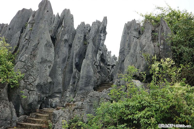 桂林旅游名城景点：灌阳文市石林 - 游山玩水 - 兴安盟生活社区 - 兴安盟28生活网 xam.28life.net