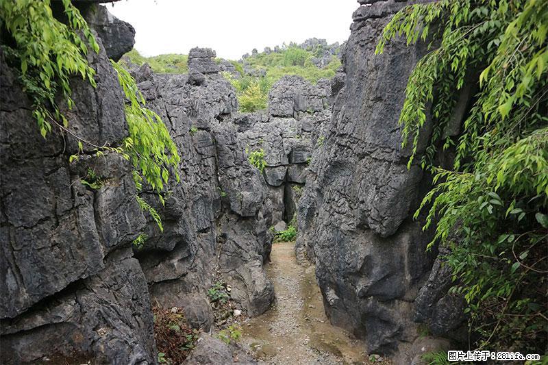 桂林旅游名城景点：灌阳文市石林 - 游山玩水 - 兴安盟生活社区 - 兴安盟28生活网 xam.28life.net
