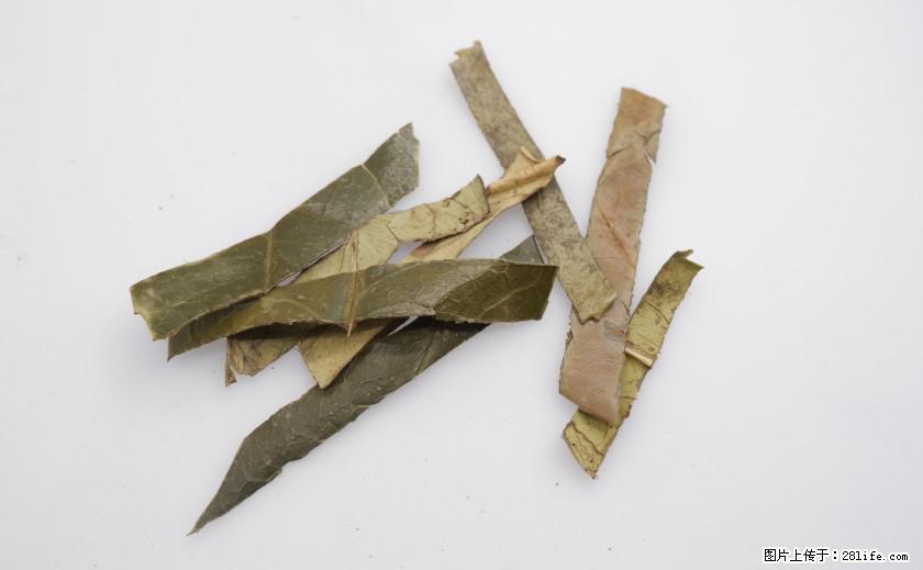 苦丁茶有哪些功效和作用 - 生活百科 - 兴安盟生活社区 - 兴安盟28生活网 xam.28life.net