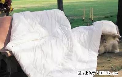 被子有异味？只要这样做，比晒太阳还强100倍！ - 家居生活 - 兴安盟生活社区 - 兴安盟28生活网 xam.28life.net