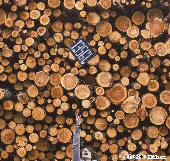 辞掉工作周游世界？现在他们在洗厕所…… - 游山玩水 - 兴安盟生活社区 - 兴安盟28生活网 xam.28life.net