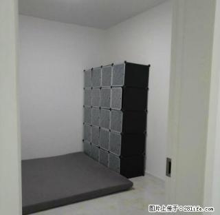 12中附近、精装修婚、房南北通透、电梯楼 - 兴安盟28生活网 xam.28life.net