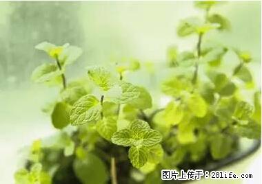晕车、脚气、牙齿变黄、皮肤粗糙？学会这些三分钟搞定！ - 兴安盟生活资讯 - 兴安盟28生活网 xam.28life.net
