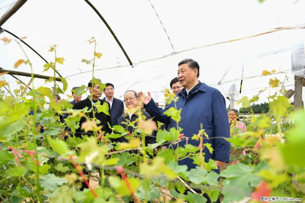 习近平赴广西考察调研 - 兴安盟生活资讯 - 兴安盟28生活网 xam.28life.net