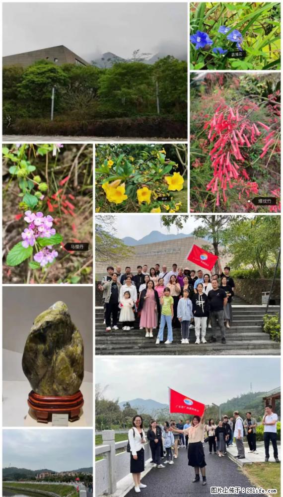 “粤灌文化 美好生活”油茶文化主题活动在广东深圳成功举办 - 兴安盟生活资讯 - 兴安盟28生活网 xam.28life.net