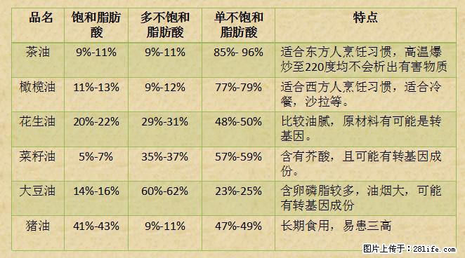 揭秘茶油的5大核心营养成分！被称为人体健康的“守护盾”！ - 兴安盟生活资讯 - 兴安盟28生活网 xam.28life.net