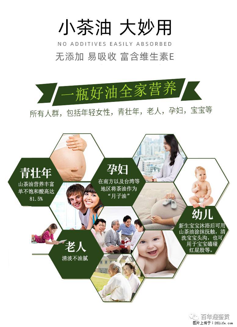 世界没有真相，只有认知，最好的食用油是中国的山茶油！ - 兴安盟生活资讯 - 兴安盟28生活网 xam.28life.net