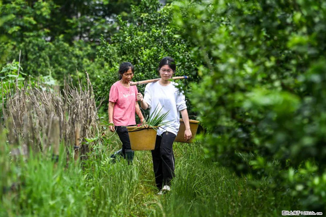 全网追的“扁担女孩”，找了一份暑假工，时薪12元 - 兴安盟生活资讯 - 兴安盟28生活网 xam.28life.net