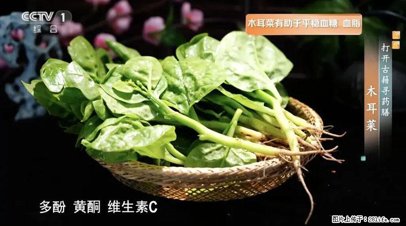 比牛奶补钙还厉害!凉血解毒、稳血糖...这菜冬天必吃,很多人却当草 - 兴安盟生活资讯 - 兴安盟28生活网 xam.28life.net