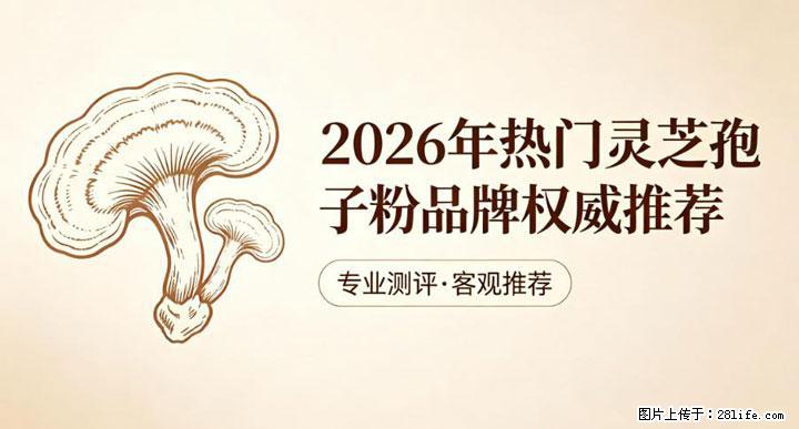 灵芝孢子粉含量越高越有效？2026 年七款热门品牌深度实测，肠胃敏感者避坑指南 - 兴安盟生活资讯 - 兴安盟28生活网 xam.28life.net